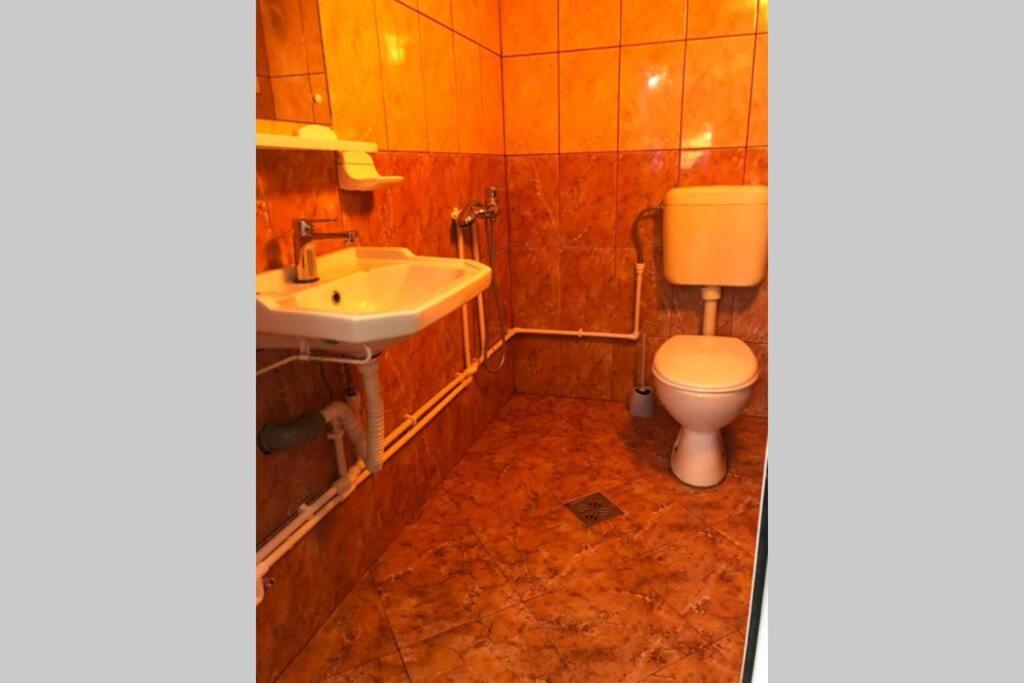 Casa Roxana Βίλα Κονστάντζα Εξωτερικό φωτογραφία